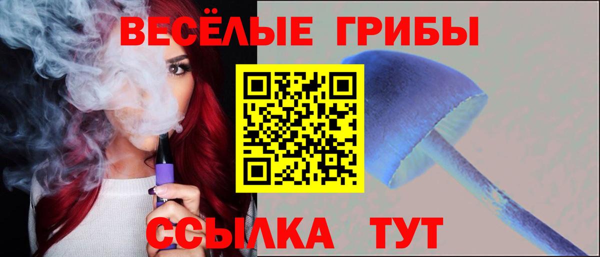 Галлюциногенные грибы GOLDEN TEACHER Минеральные Воды
